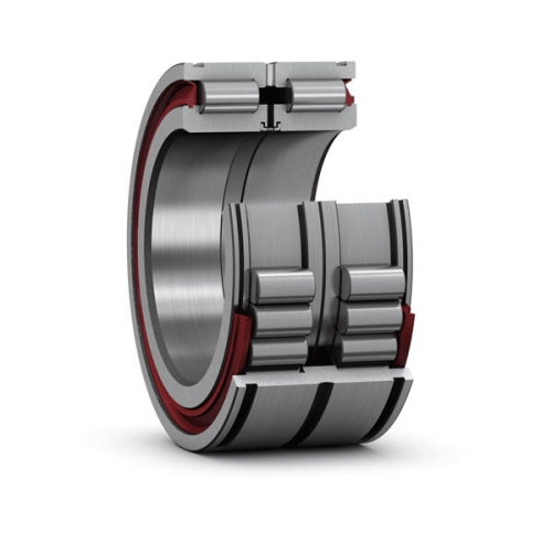 Double Row Full Complement Cylindrical Roller Bearings