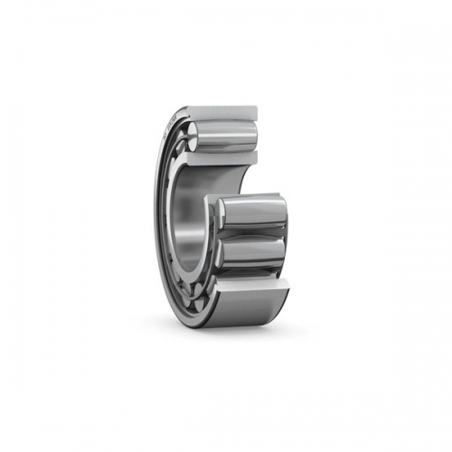 Toroidal Roller Bearings