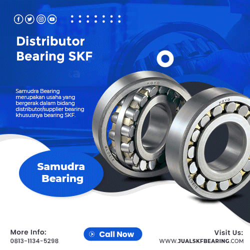 Distributor Bearing SKF