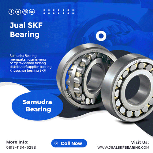Jual SKF Bearing